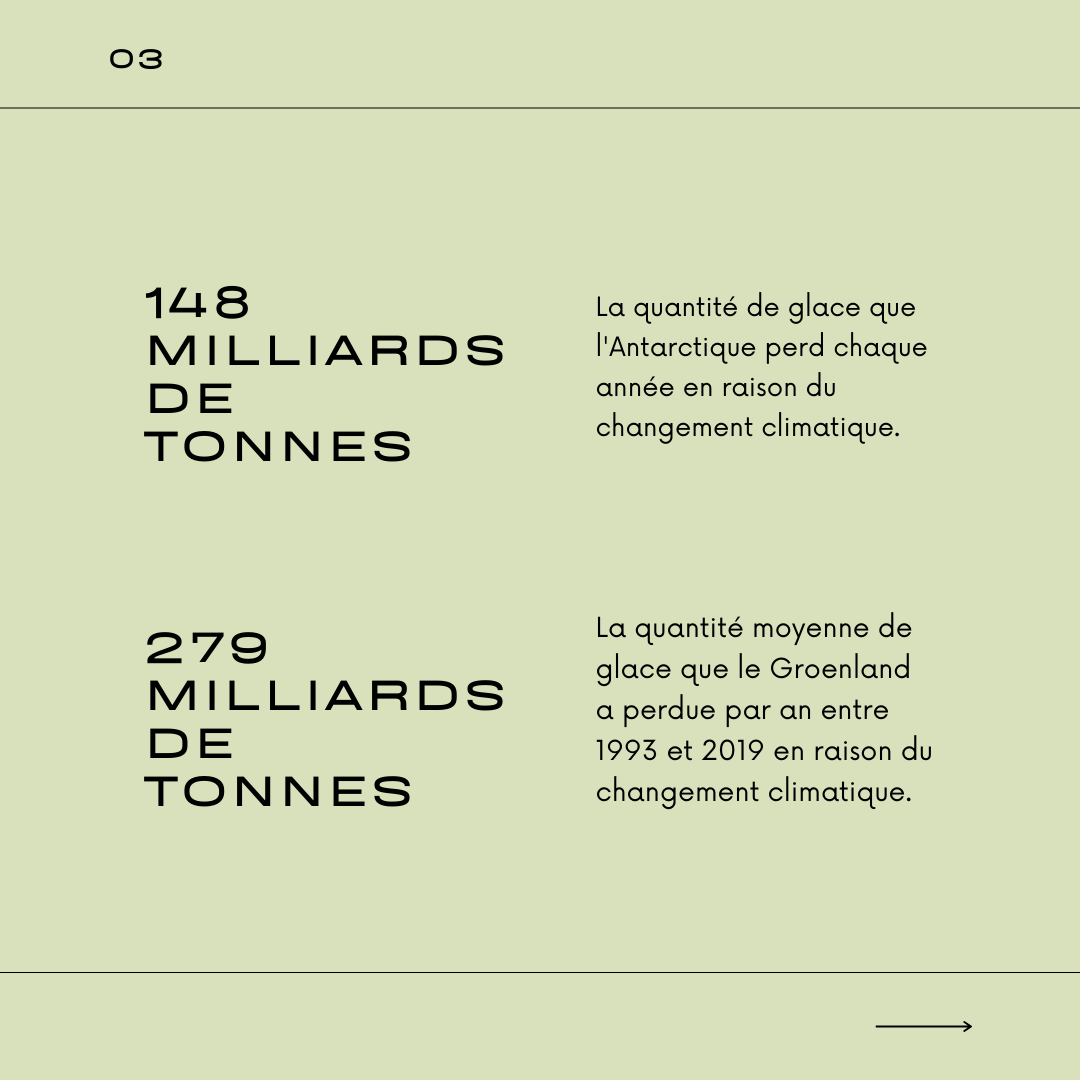 Visuel 4 sur l'écologie