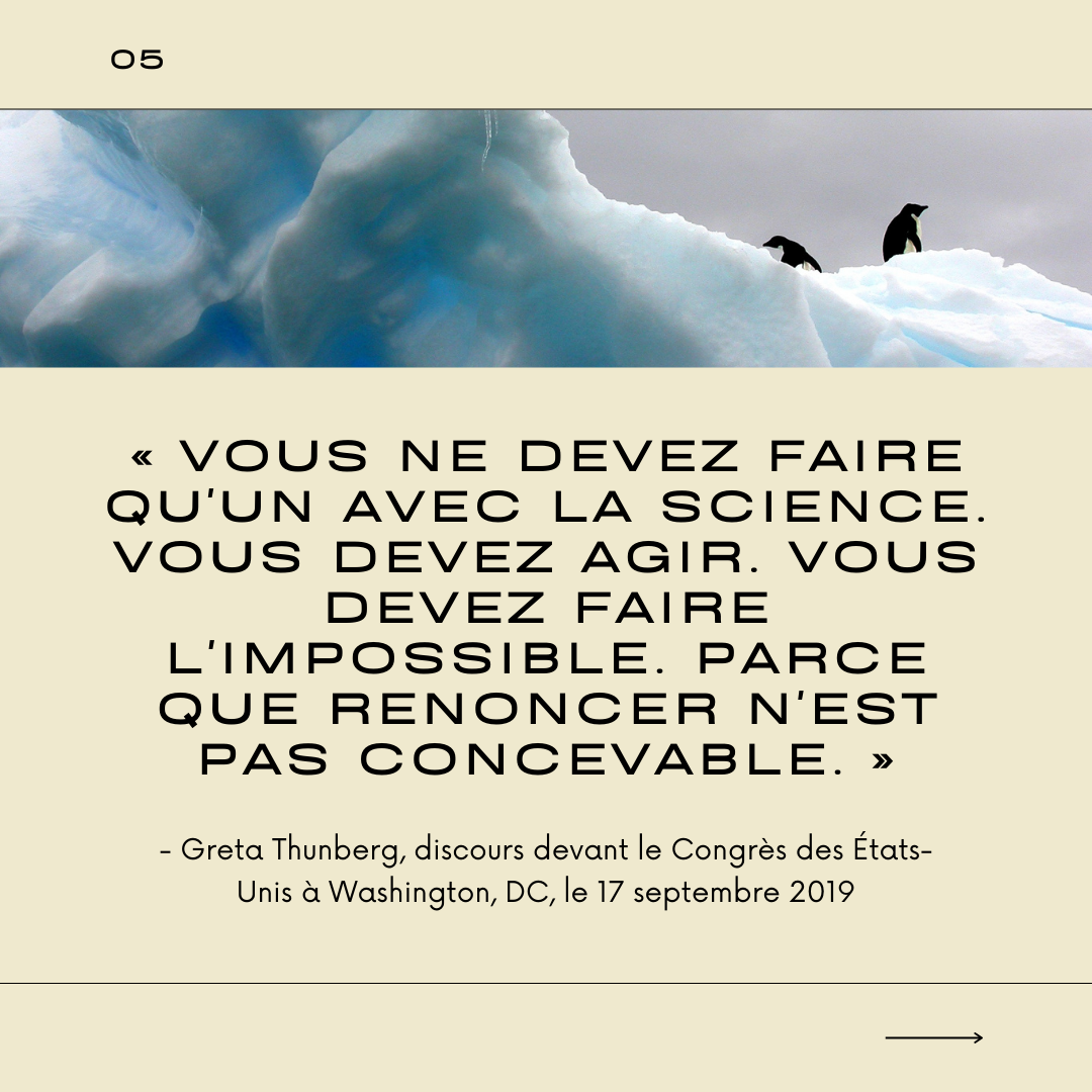 Visuel 6 sur l'écologie